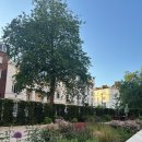 홈스위트홈 이미지