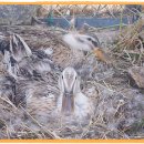 배영농장 이미지