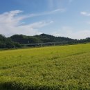 알토란 공인중개사사무소 이미지