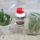 희석목장 이미지