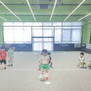 와이티스포츠