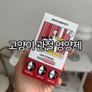 고양이 관절 영양제 추천 몽셰펫 오 스트롱 조인트 콘드로이친 후기