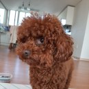 아름드리동물병원 이미지