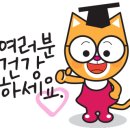 폴건축사사무소 이미지