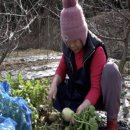 반달식당 이미지