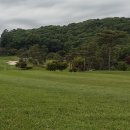 코스카cc 이미지