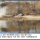 죽산 낚시터 이미지