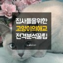 다들 고양이 좋아하시나요?^^ 이미지