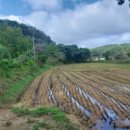 용연동마을회관 이미지