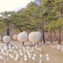 이극증 묘역 내 석물 | 🌿 대구 운암지 수변공원 여행 – 사계절 감상부터 안전 정보까지