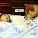 예뻐예