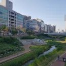 연리지벽산우남공인중개사사무소 | (목동동-운정신도시)숲이 우거졌던 마을,목동 동!!...운정신도시 목동 동의 아파트 시세를 알아볼까요?