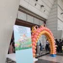창원 렙타일페어(파충류박람회) 후기, 크레입양후기