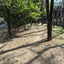 동두천농협 앞 이미지