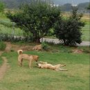 반장농장 이미지