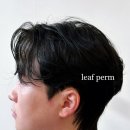 헤어티지 이미지