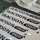 라쿤(Racoon) 이미지