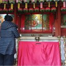 미라4길 이미지