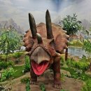 덕소자연사박물관 이미지