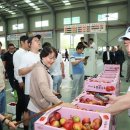 새청도농업협동조합 이미지