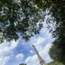 오이시디 | [2025 외교부 재외공관 현장실습원] 유네스코 합격 후기