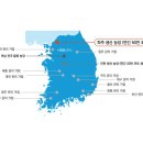 에코 플랜테리어 수경재배 이미지