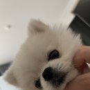 사랑해 엄마(주말) 이미지