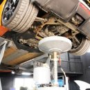 아이언게러지 이미지