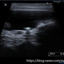 선부중앙동물의료센터 이미지