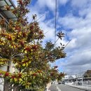 밥먹는하마 | 히로시마 근교 여행 리브맥스 미야하마 온센 온천 리조트 가는 법, 시설, 가격