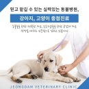 정담치과 이미지