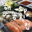 명품횟집 | 강원도 강릉 주문진 횟집 해송횟집 명품 모듬회 포장 추천