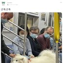 굿독 이미지