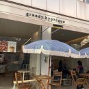 서울 성수 뚝섬역 애견동반카페 그리디힙히크[greedy.hyphique]다녀온후기
