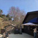 성은교회 들어가는 길목 | 옥천 가볼만한곳! 수생식물학습원 천상의 정원 실시간 목련 개화 및 예약 팁