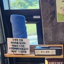 주노무인호텔 | 경주 엘라포니시 풀빌라 호텔 야외수영장, 루프탑수영장 솔직후기