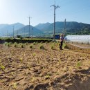 푸르담농장 이미지