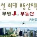 J공인중개사사무소 이미지