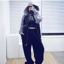 고양이날다 이미지