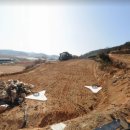 임마누엘축산 이미지