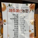 예찬농장 | 선물용 천혜향 고민 끝! 제주 명품 천혜향 2kg 내돈내산 싱싱함