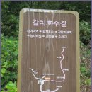 갈치호수길 이미지