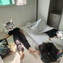 삼척주목나무집