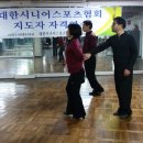 웰빙댄스 Daum카페