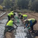 의왕농업협동조합 이미지