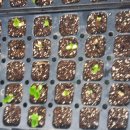 천주농장 이미지