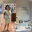 [누크더캐시미어] 갤러리아점 방문 후기 : 가정의 달 센스 있는 선물하기 좋은 라이프스타일 소품샵