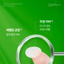 큐메디 | 동국제약 여드름 메디패치 아크큐 내돈내산 전 꼭 알아야 할 사용법과 단점