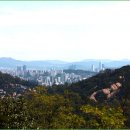 정릉14 이미지