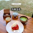 일층카페 | 김포 대형 카페 추천 일층 파인 다이닝 디저트 맛집 후기